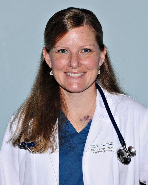 Dr Molly Bechtold